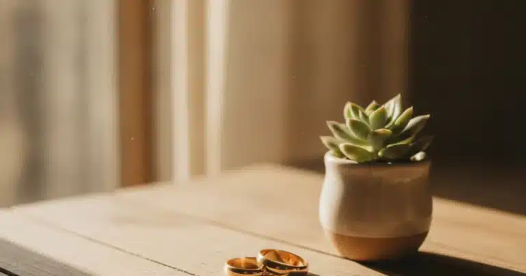 Photorealistic image of two wedding rings resting on a wooden table beside a small potted plant and natural morning light com